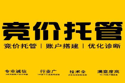 百度搜索推广实战经验：经典案例启示录